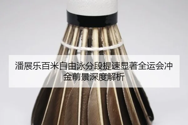 潘展乐百米自由泳分段提速显著全运会冲金前景深度解析